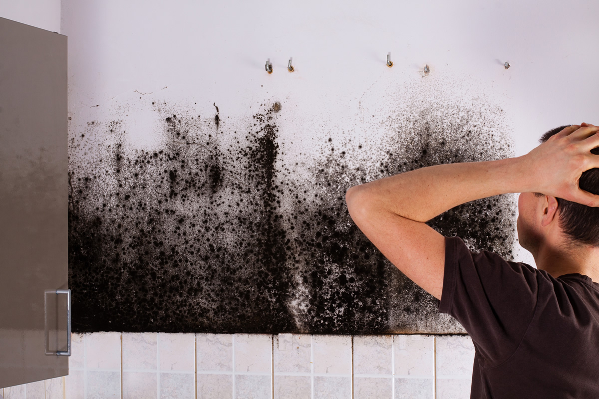 Health symptoms of household mold