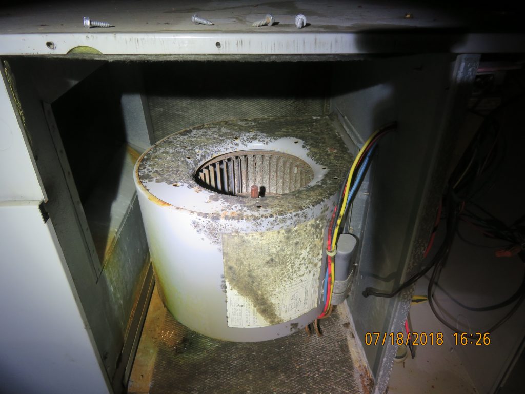 Mold Testing Services Bergen County NJ Hidden Mold Problems