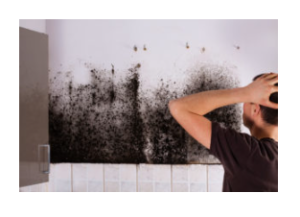 Mahwah NJ - Is Mold Testing Covered By NJ Homeowners Insurance.
