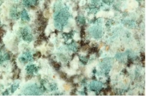 Mahwah NJ - Exposure To VOCs Can Affect Health