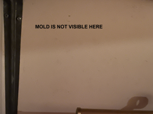 Can Black Light Help To Find Mold In NJ? Ask Mold Testin NJ - NY!