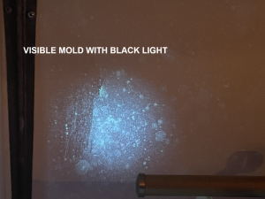 How Does Black Light Work? Ask Mold Testin NJ - NY!
