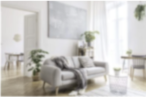 Maplewood NJ Indoor Air Quality Inspections and Testing
