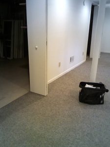 mold detected in bergen county nj basement carpet