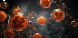 Mycotosin Testing Inspection-Inspector in Ramsey NJ