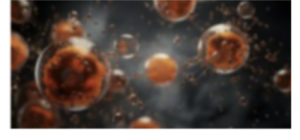 Mycotoxin Testing Inspection - Fair Lawn NJ Fair Lawn NJ - Mycotoxin Testing