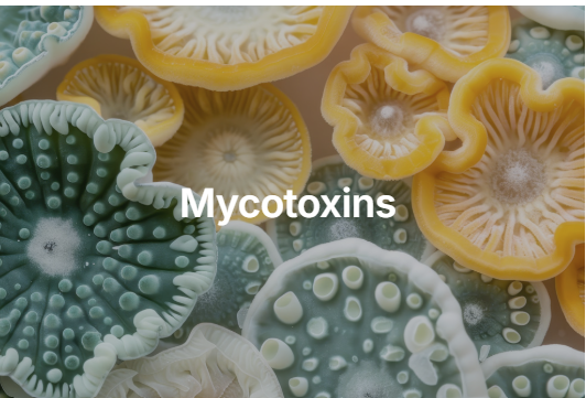 Mahwah NJ - Mycotoxin Inspection and Testing In NJ